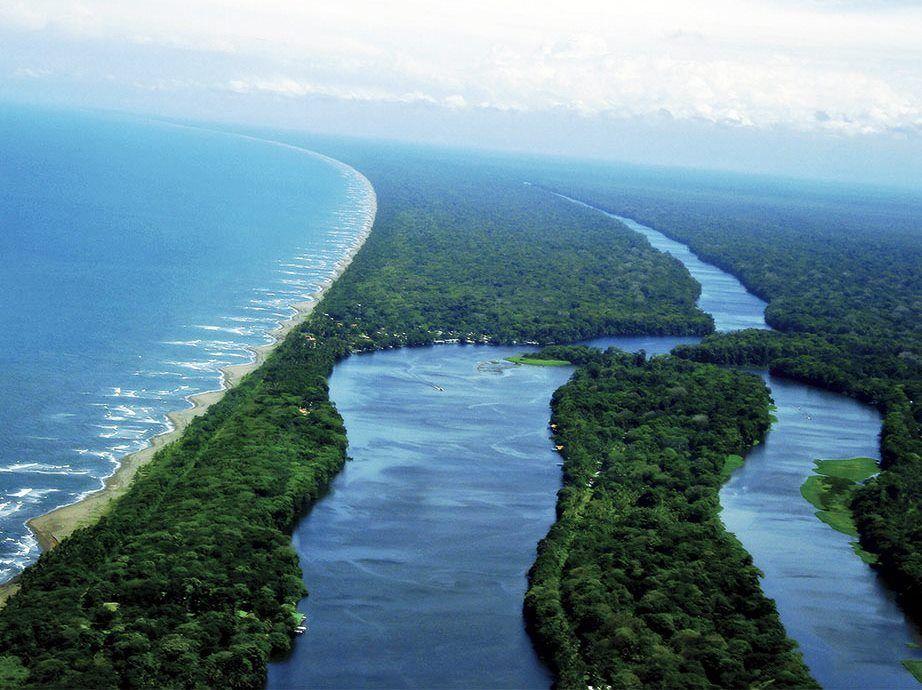 Barra del Colorado Wetlands