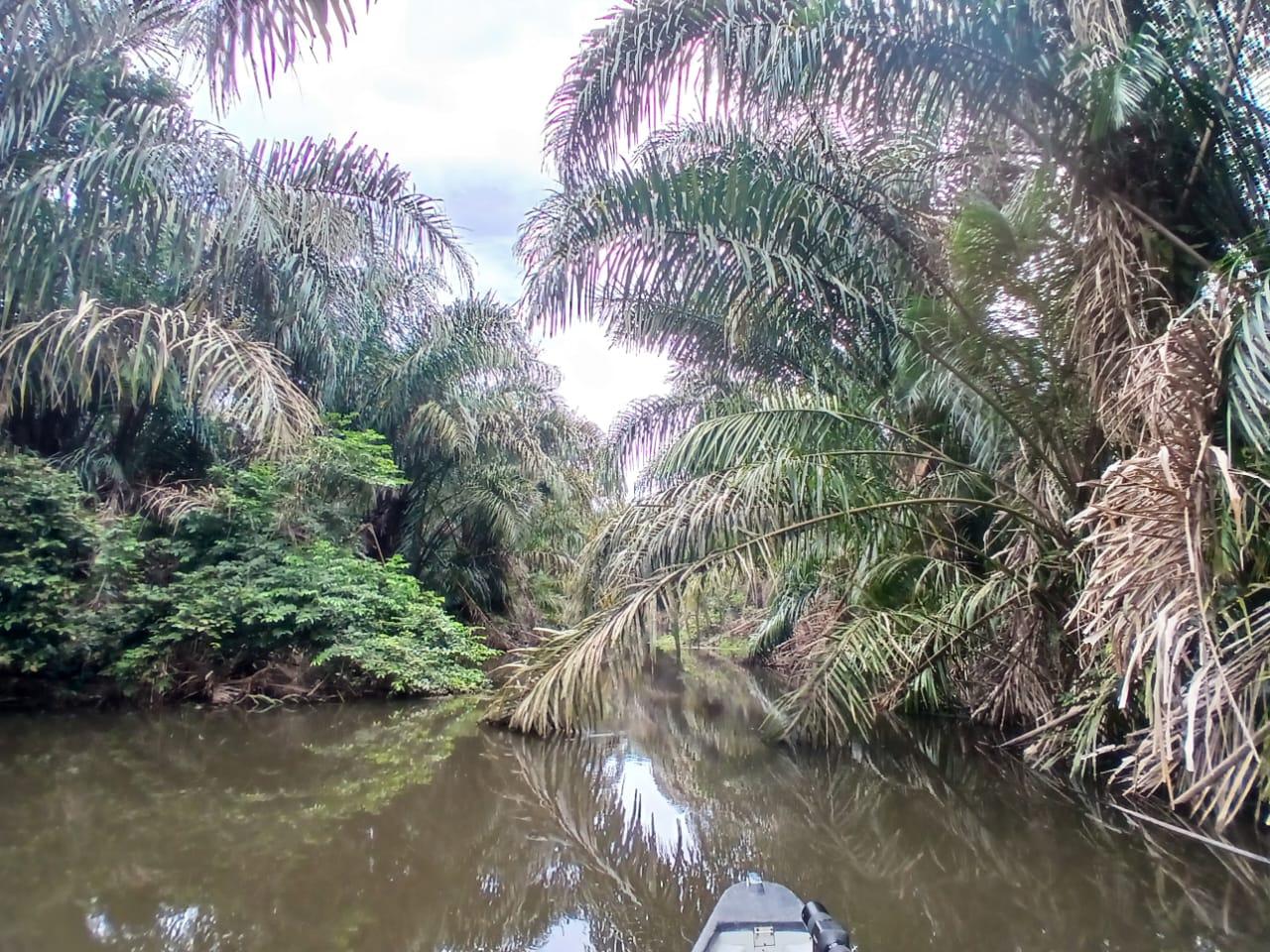 This is an option for leisure and volunteering.